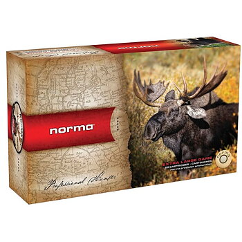 Norma Alaska .30-06 11.7g / 180gr