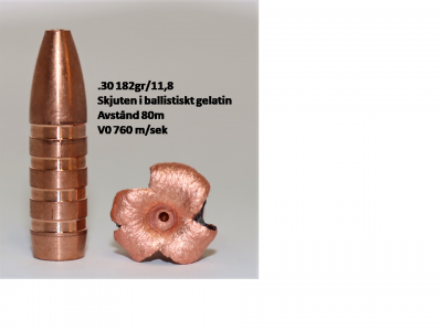 CopperBear EXHBT .30 184gr / 11,9gram 3