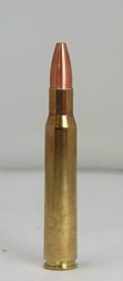 CopperBear .30-06 184gr / 12,0gram 4
