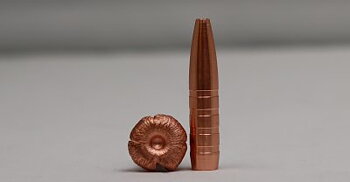CopperBear .308 Win 166gr / 10,7gram 2
