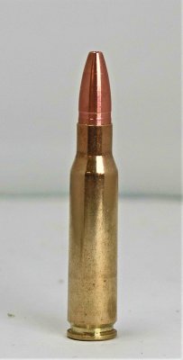 CopperBear .308 Win 166gr / 10,7gram 4