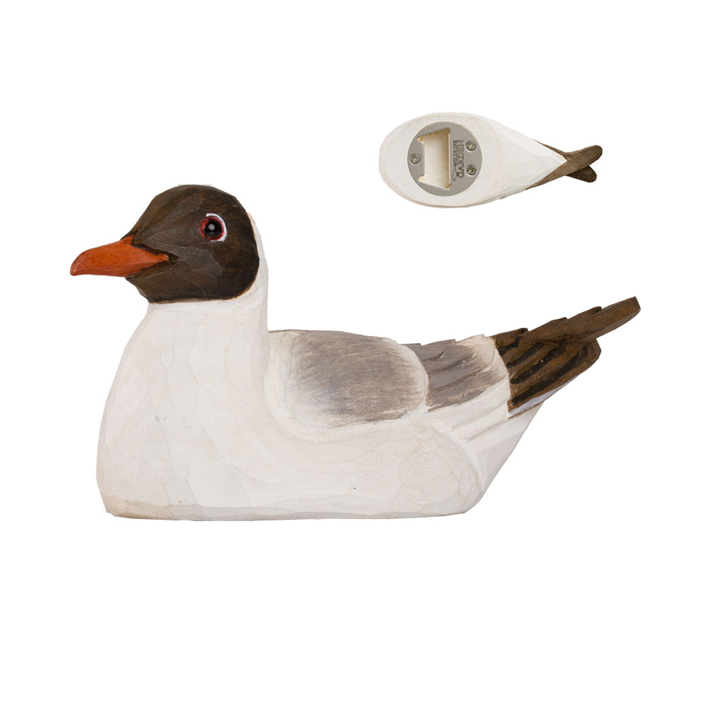 Bottle Opener Black-headed Gull
