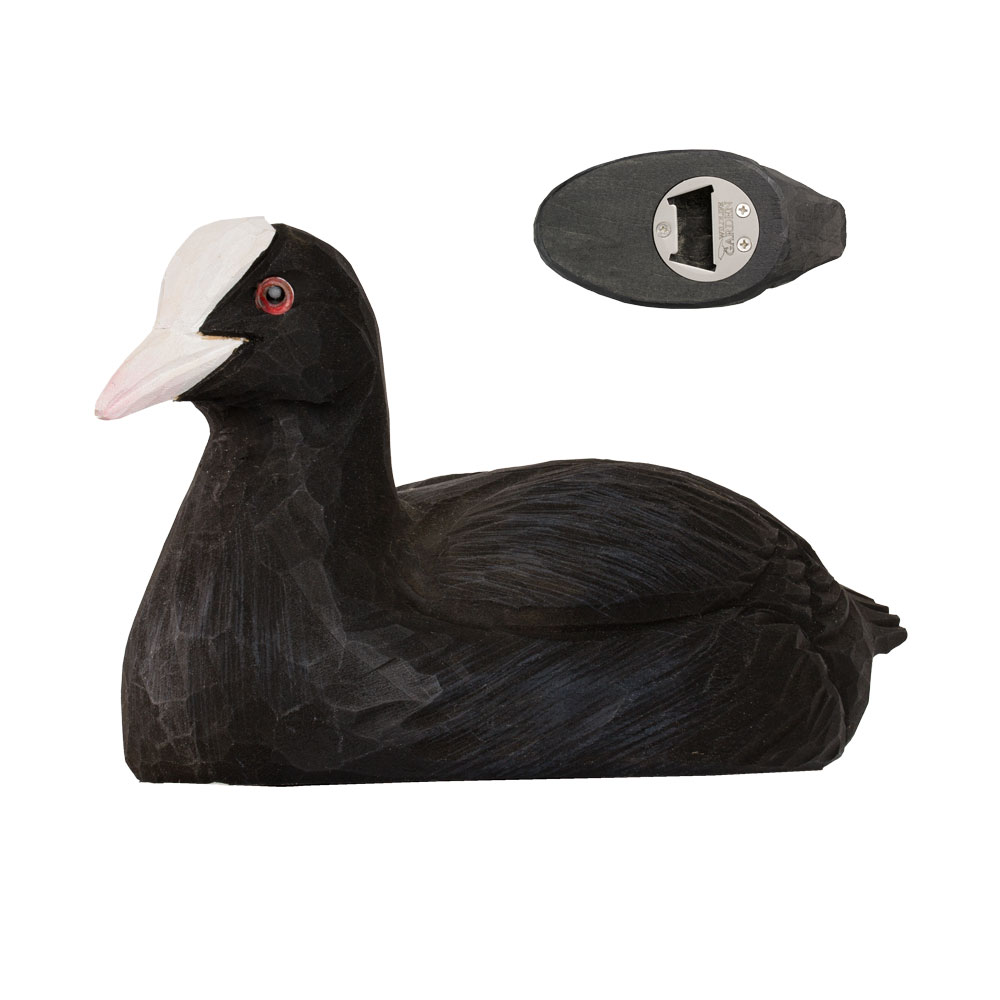 Bottle Opener Eurasian Coot