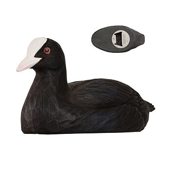 Bottle Opener Eurasian Coot