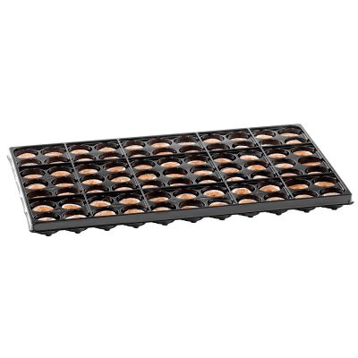 Coco Plug Tray - 2