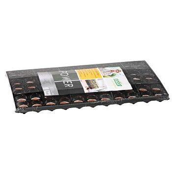 Coco Plug Tray