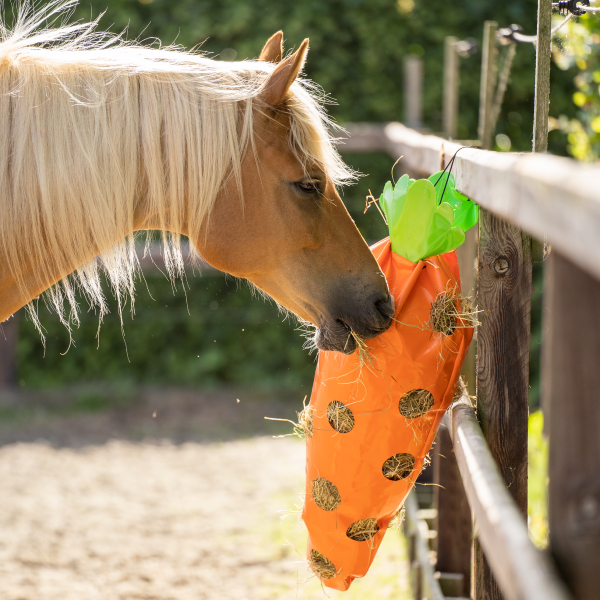Imperial Riding Hay bag IRHCarrot Orange