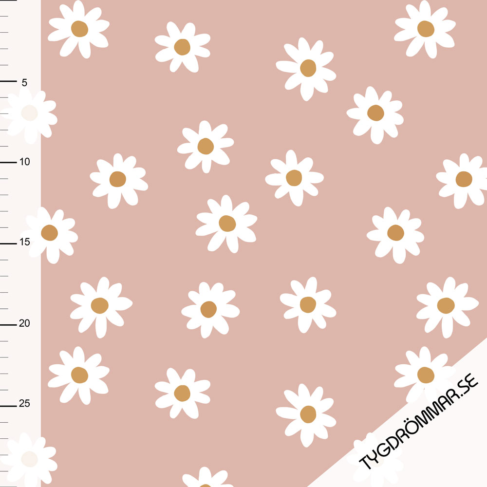 DAISY RIBBAD - OLD PINK - 3