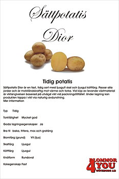 Sättpotatis Dior  3 Kilo