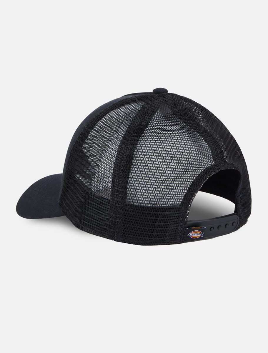 Dickies Hanson mesh keps - 2