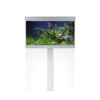 Akvastabil Fusion Paket LxBxH: 80x40x118 cm, 144 liter