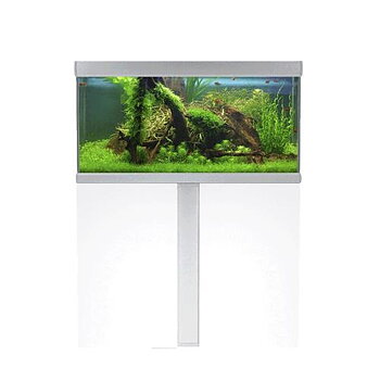 Akvastabil Fusion Paket LxBxH: 100x50x129 cm, 250 liter