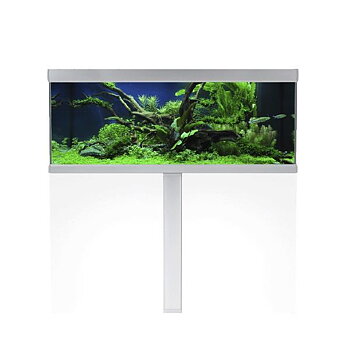 Akvastabil Fusion Paket LxBxH: 130x50x129 cm, 325 liter