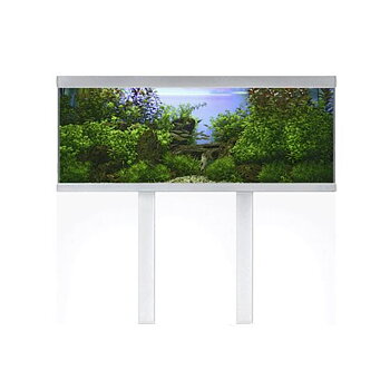 Akvastabil Fusion Paket LxBxH: 160x50x139 cm, 576 liter
