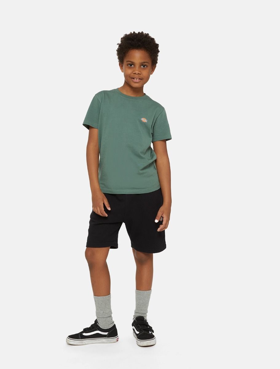 Dickies Mapleton mjukisshorts svarta - 4