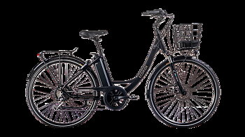 Ecoride Ambassador X AXS H9 