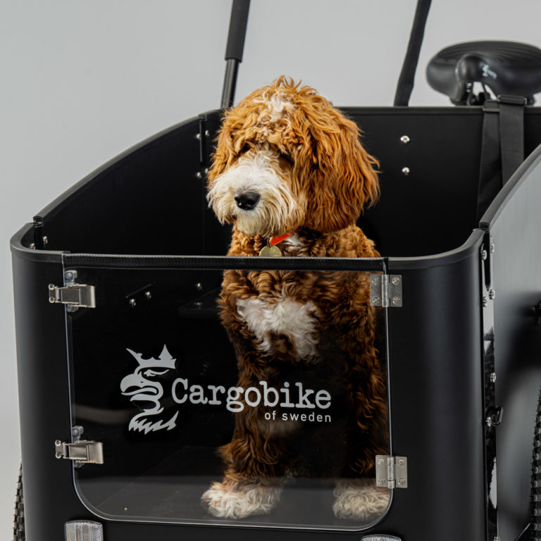 Cargobike Delight Dog - 4