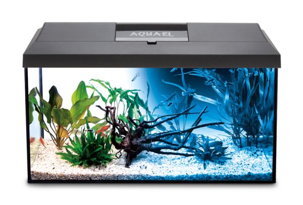 Aquael Leddy 40 PLUS Day & Night Svart LxBxH: 40x25x25 cm, 25 liter - 3