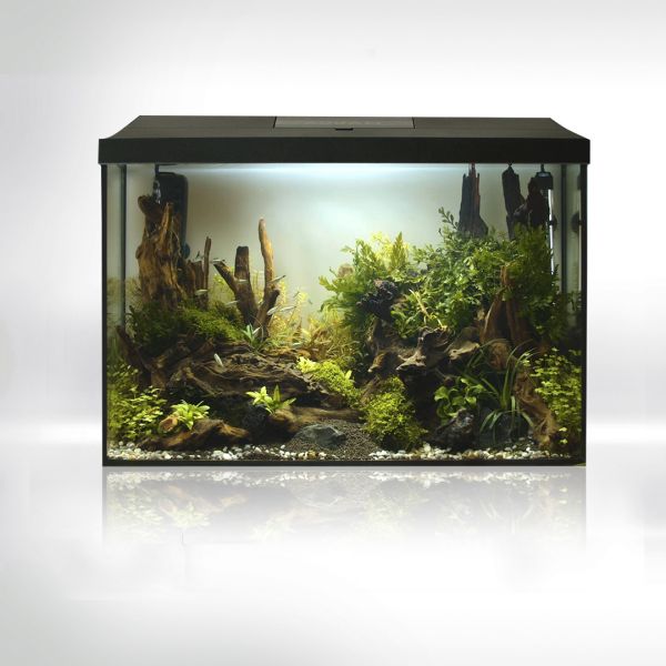 Aquael Leddy 60XL Day & Night svart LxBxH: 60x30x40 cm,  72 liter - 2