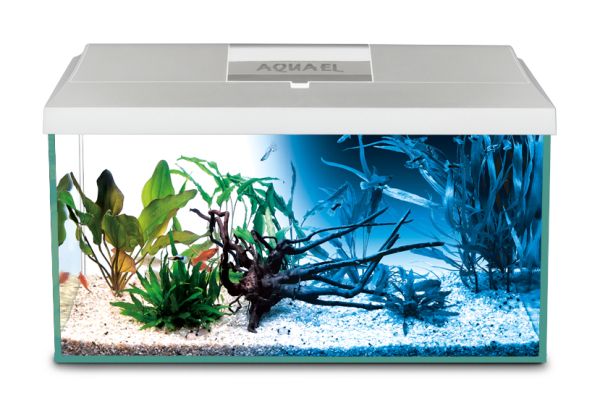 Aquael Leddy 60 PLUS Day & Night Vit LxBxH: 60x30x30 cm,  54 liter - 2