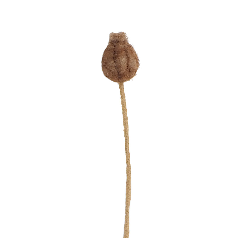 Pallokukka 2,5 cm siemenkapseli Unikko Poppy