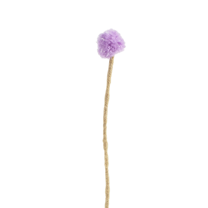 Kugelblume 2,5 cm Kanadische Distel