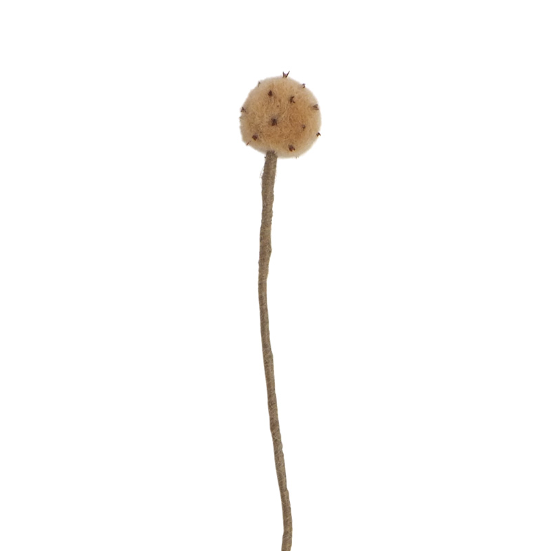 Pallokukka 2,5 cm Kultainen ohdake