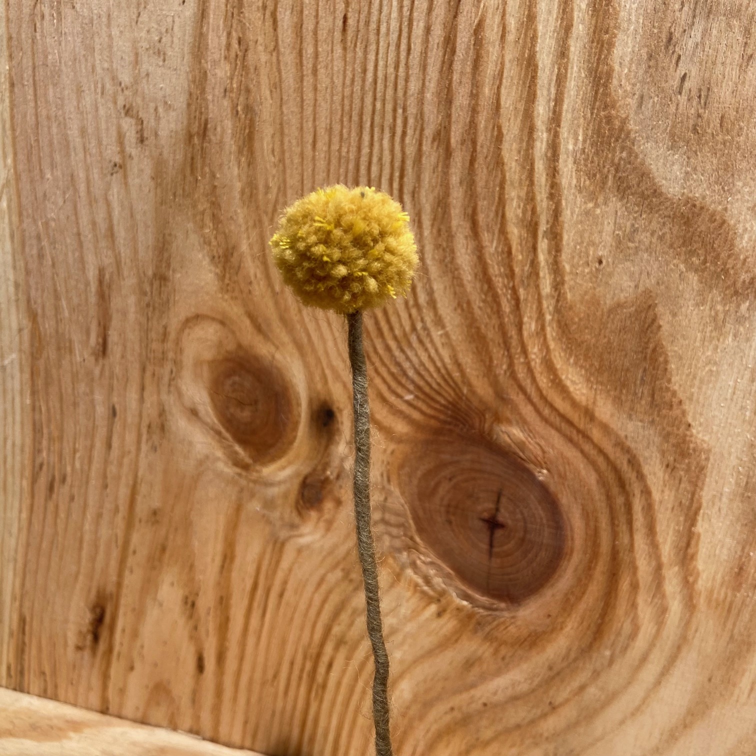 Kugelblume 2,5 cm Safran