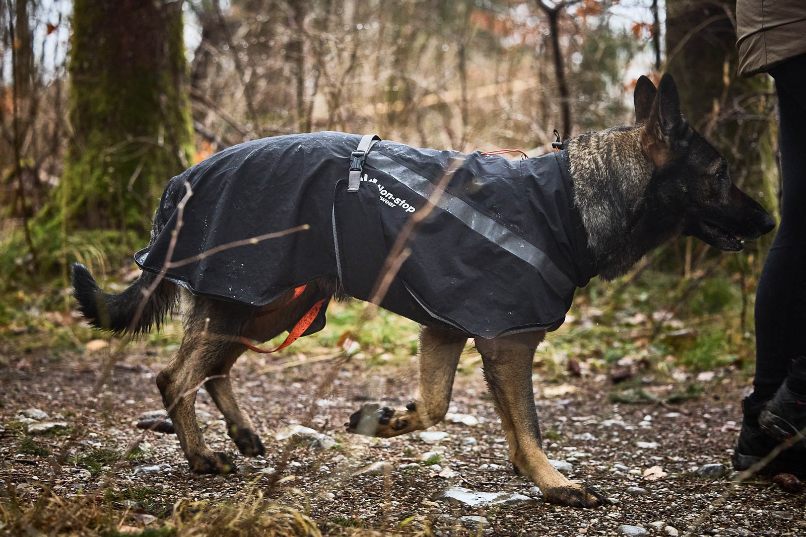 Non-Stop Trekking Dog Raincoat - Svart Regntäcke  - vattenpelare 10 000 mm - 4