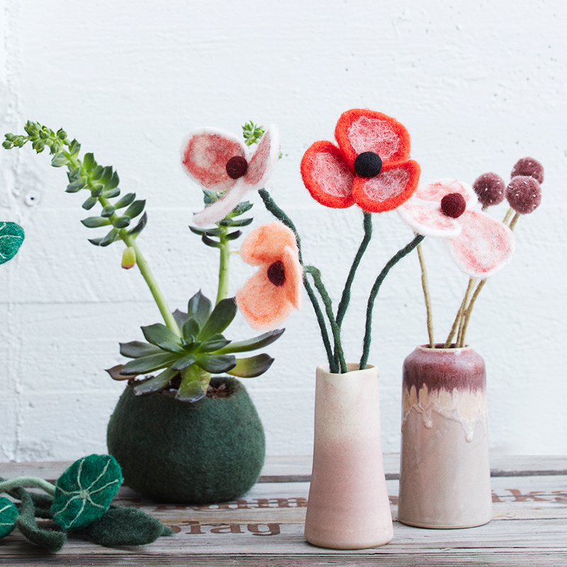 Roter Mohn - 2
