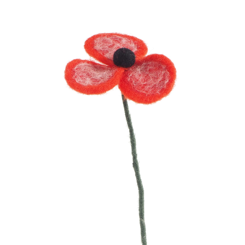 Red poppy