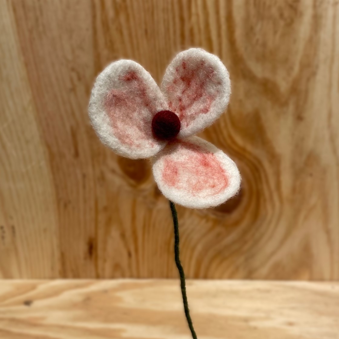White poppy