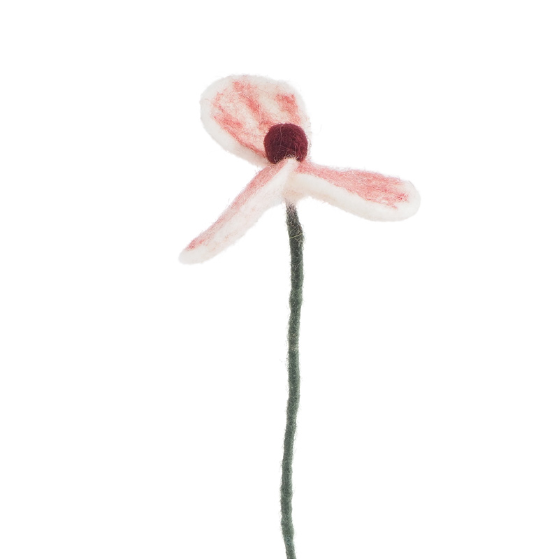 White poppy - 3