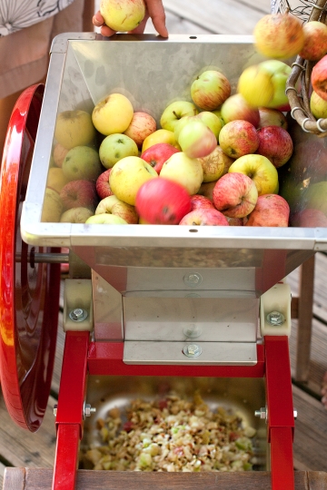 fruitpers F20 & handmatige fruitmolen 15L Fratelli Baesso - 2