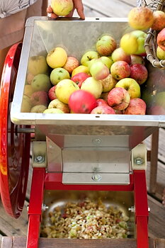 fruitpers F20 & handmatige fruitmolen 15L Fratelli Baesso