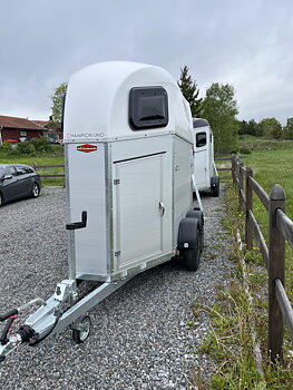 Hästtransport Böckmann Champion Uno Esprit 2026 (PRISSÄNKT) 