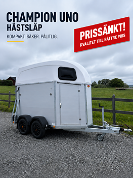 Hästtransport Böckmann Champion Uno Esprit 2026 (PRISSÄNKT) HELT NY