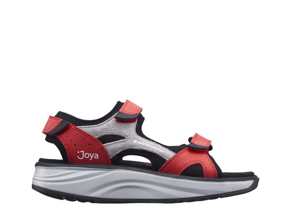 Joya Komodo red