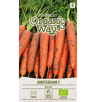 Morot Amsterdam 2 Organic Way