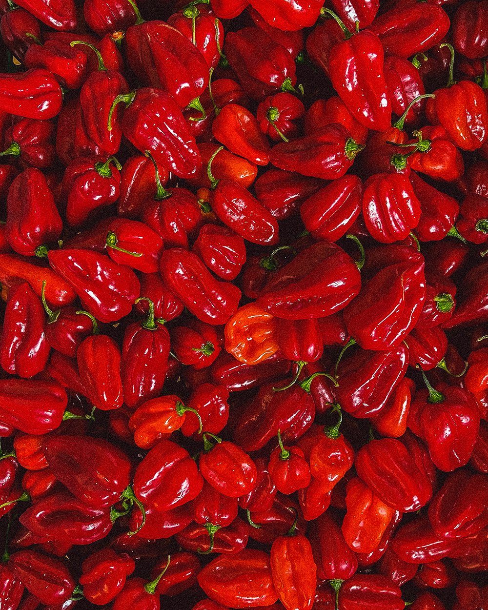 Cevichán Habanero Salsa Rojo - 5