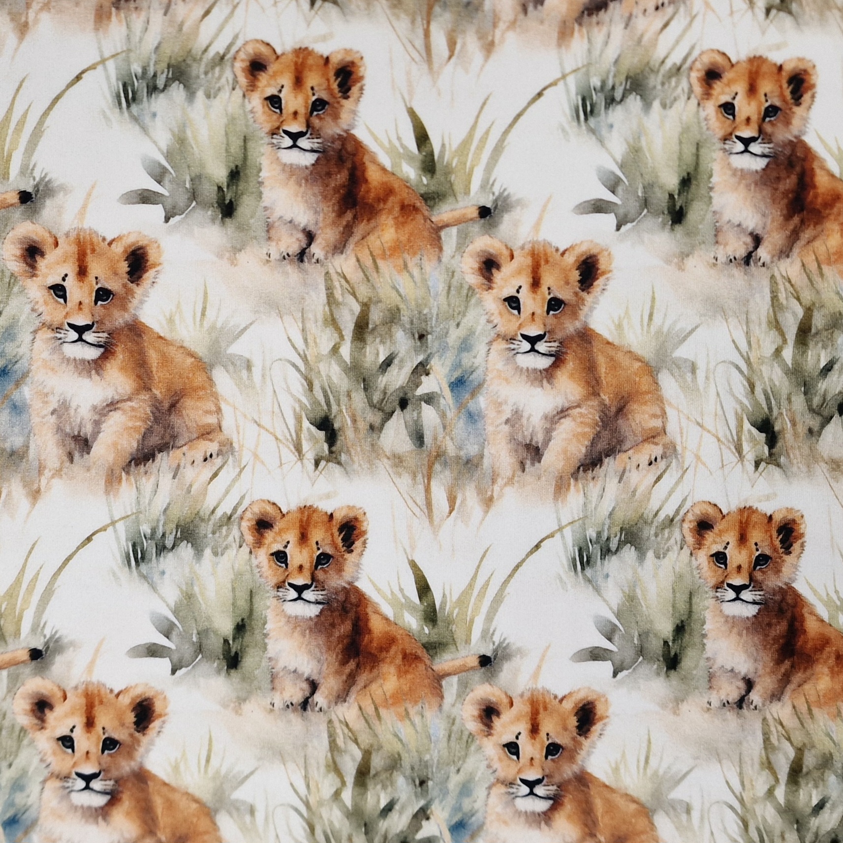 Baby lions - 3