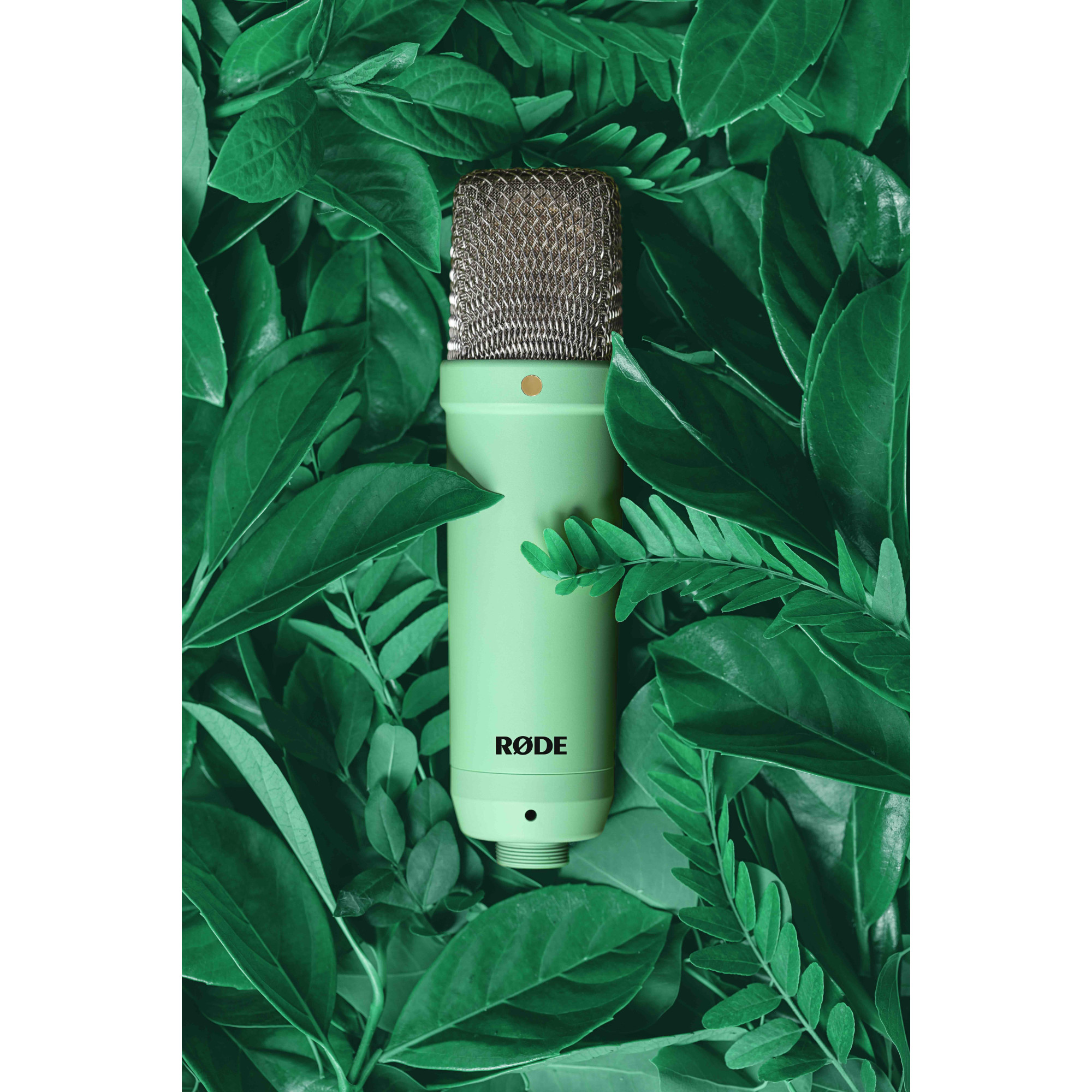 RODE NT1 Signature Series (GREEN) - 3