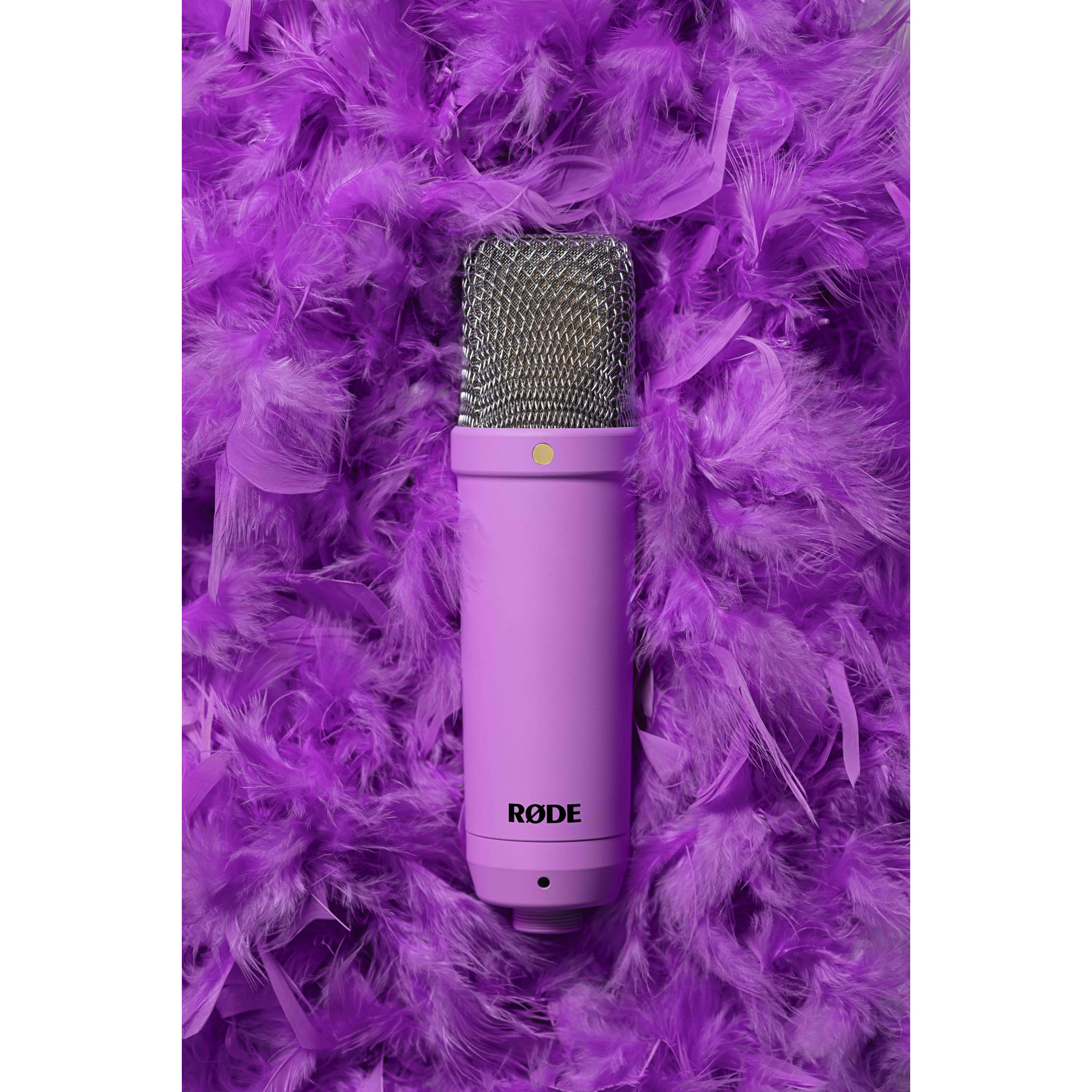 RODE NT1 Signature Series (PURPLE) - 3
