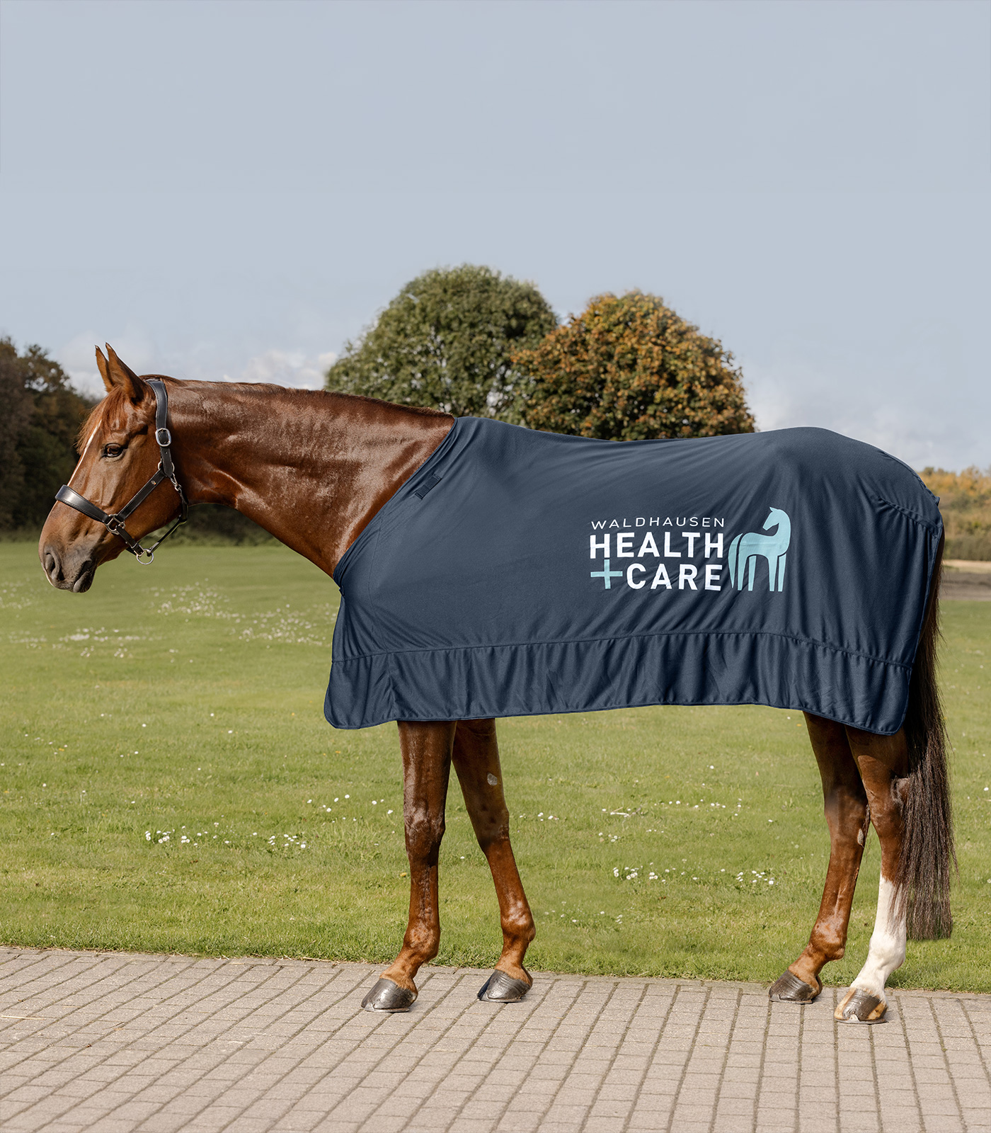 Waldhausen Health + Care Ice Layer Täcke Night Blå