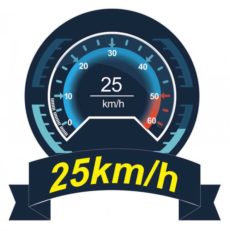 Joysway Mad Shark F1 V3 2.4G RTR Borstad Gul - 12
