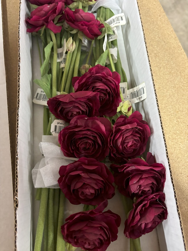 Ranunculus - Burgundy/Wine red - 45 cm - 3