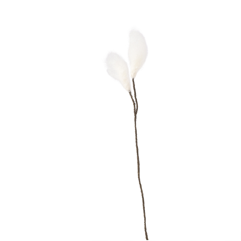 Kleine weiße Baumwollblume