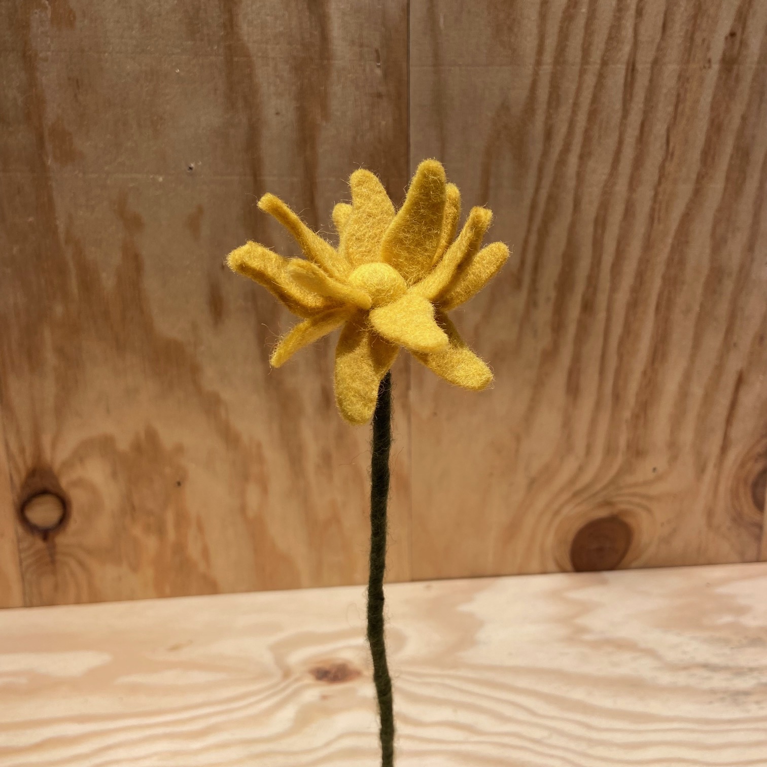 Kleine Sonnenblume