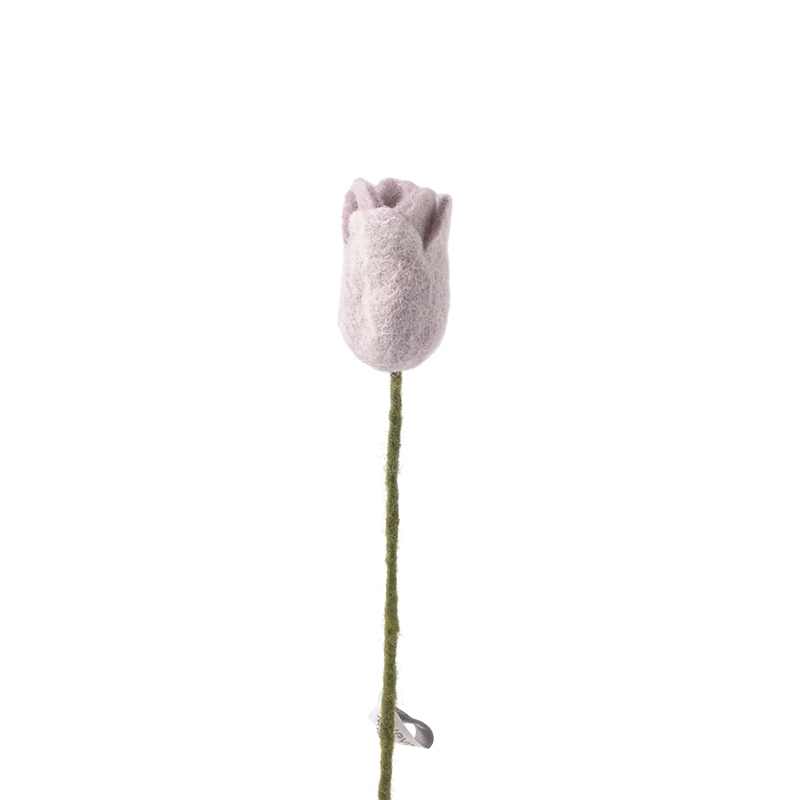 Tulip Lavender