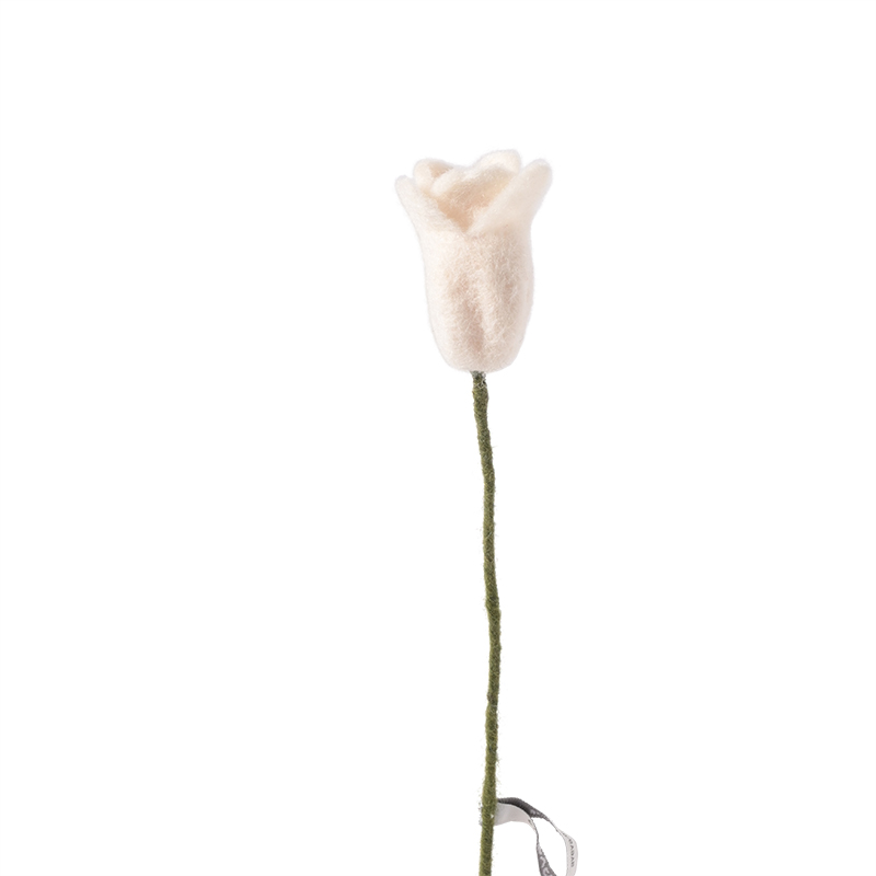 Tulip White - 3